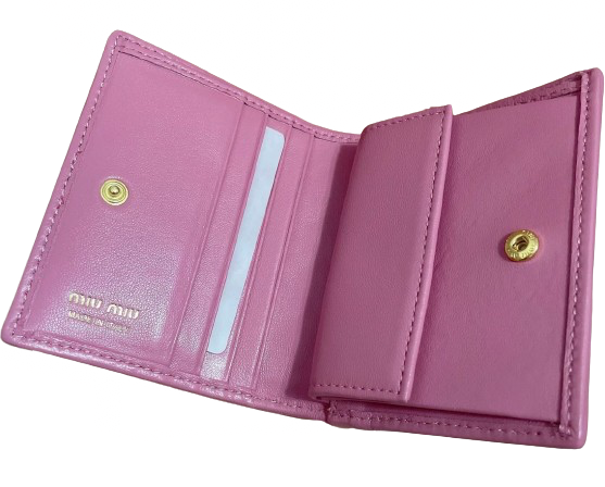 Anushka Wallet